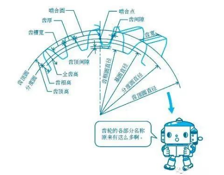 齒輪的直徑不同，為什么能?chē)Ш希?></a></div>
                                <div   id=