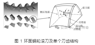 環(huán)面蝸輪滾刀側(cè)后角面磨削干涉分析